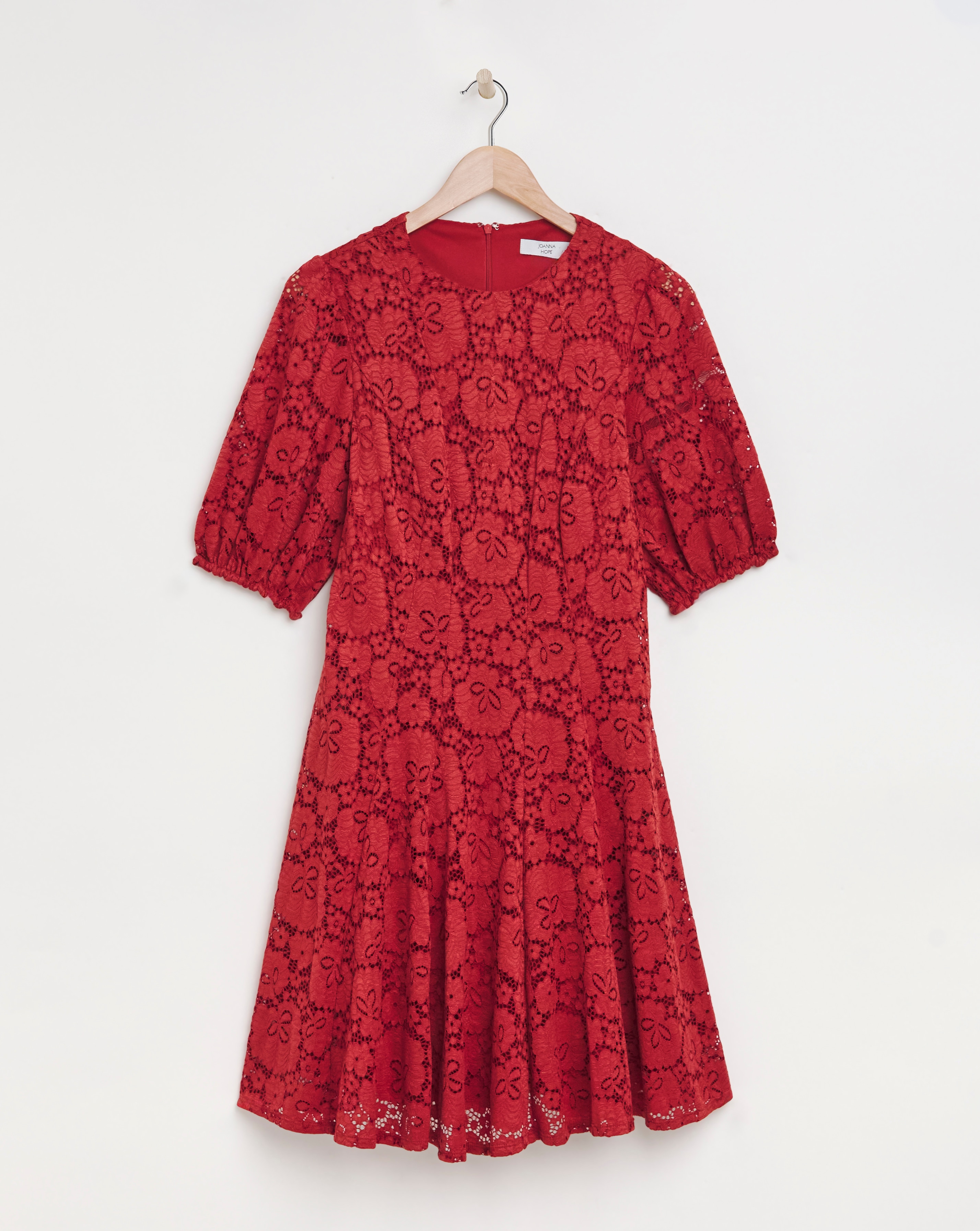 Joanna Hope Stretch Lace Skater Dress