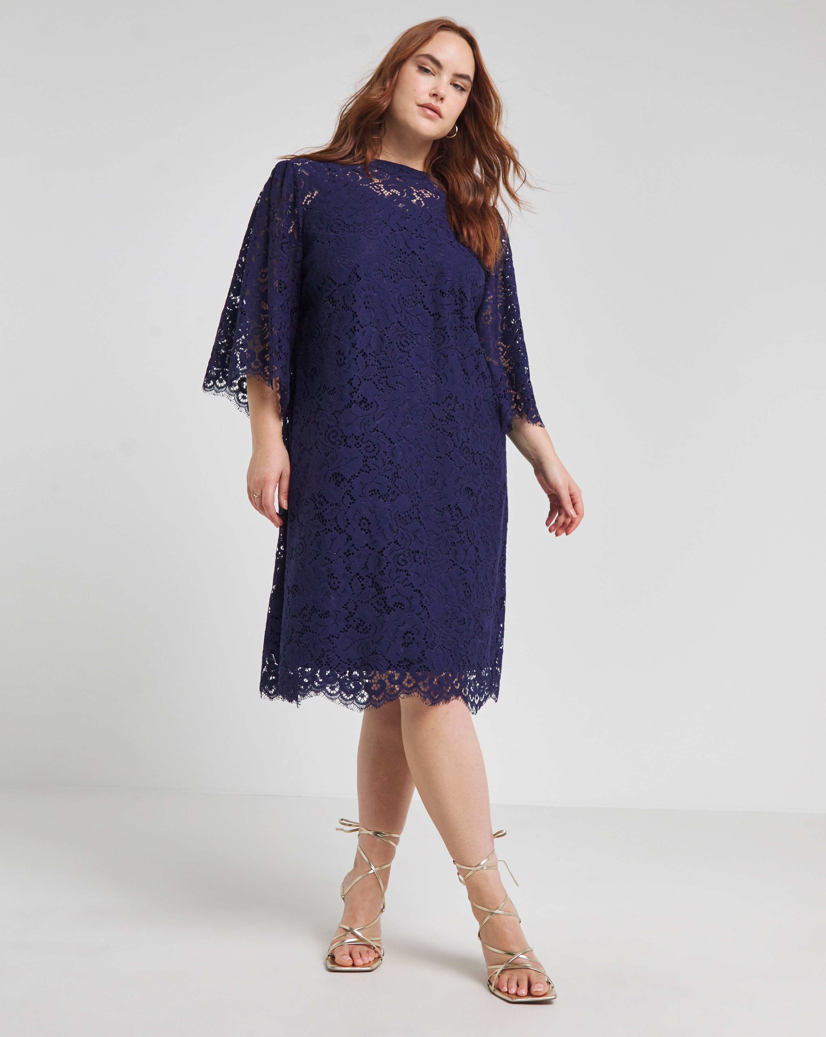 Joanna Hope Lace Swing Dress