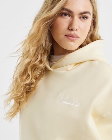 Gym King Renew Flatlock Hoodie