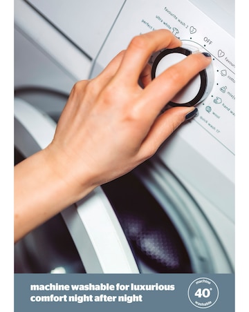 Silentnight Pure Cotton Pack of 2 Pillows