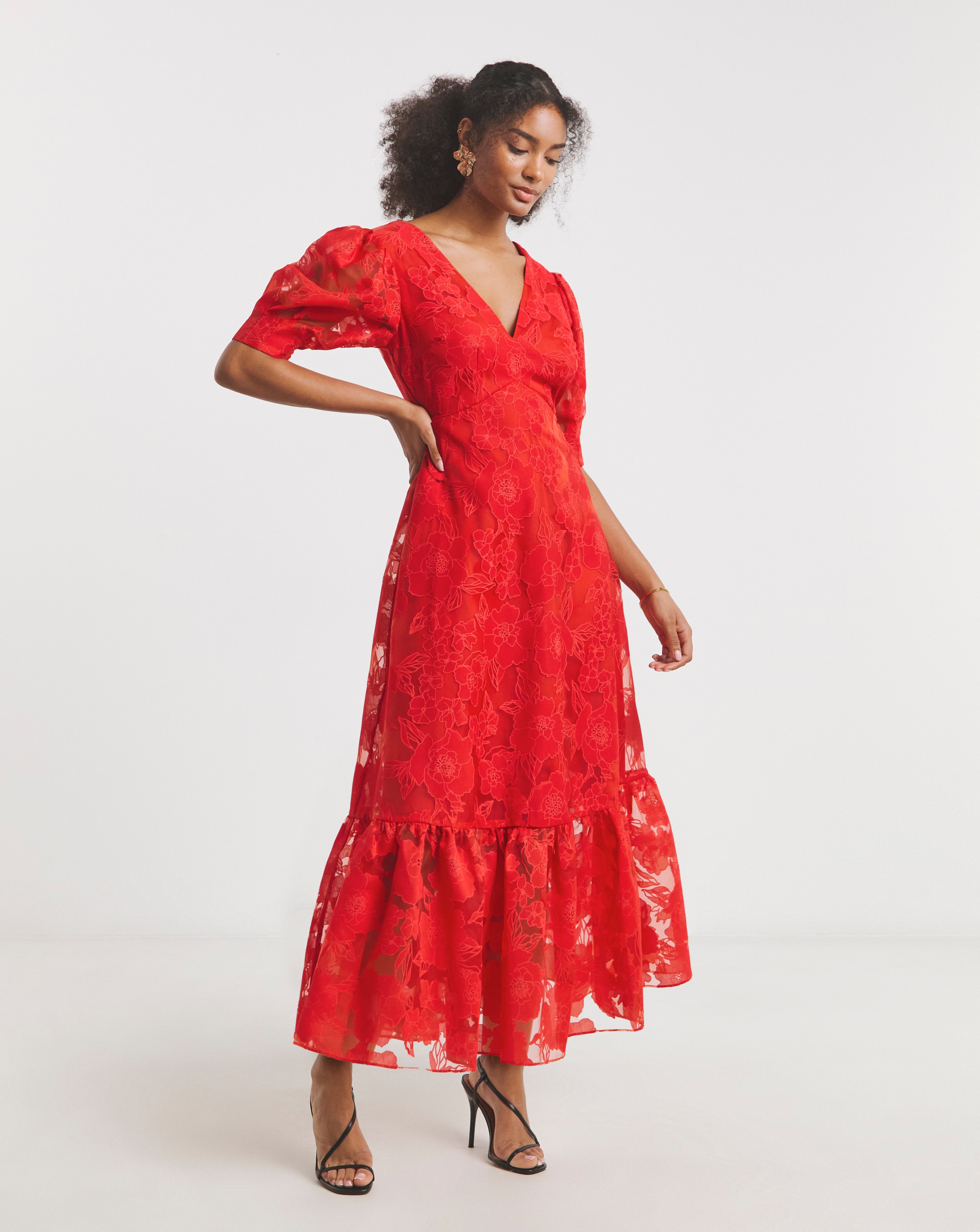 Joanna Hope Sheer Floral Dress