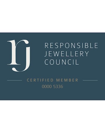 9ct Gold 11 Stone Moissanite Shaped Eternity Ring