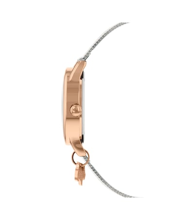 Radley Ladies Silver Stainless Steel Mesh Small Trailing Flower Watch