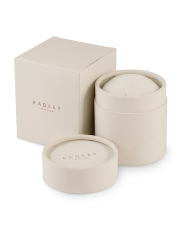 Radley Ladies Silver Stainless Steel Mesh Small Trailing Flower Watch