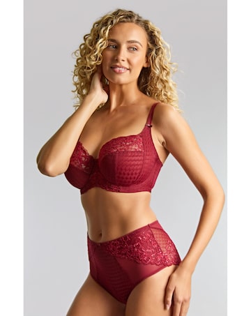 Panache Envy Full Cup Wired Bra Sparkling Cherry