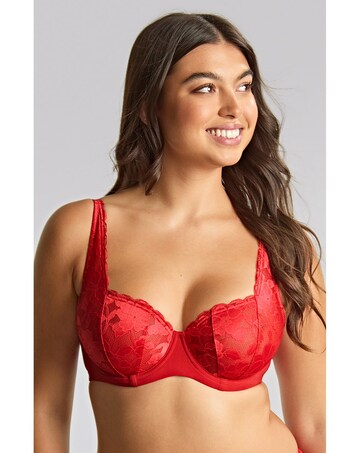 Panache Heidi Plunge Wired Bra Ruby Red