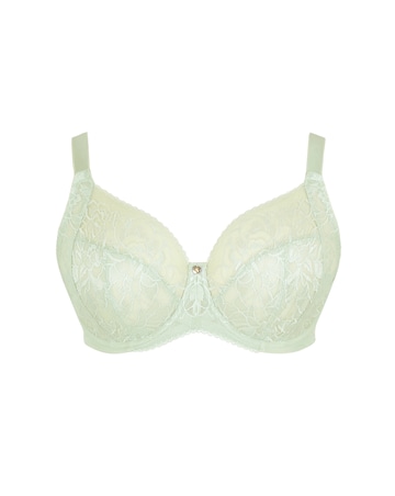 Sculptresse Dream Full Cup Pistachio