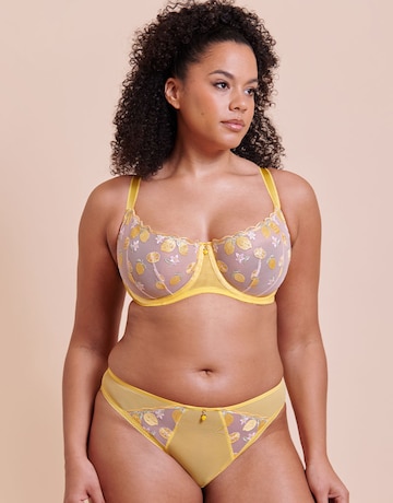 Curvy Kate Limoncello Tanga Brief