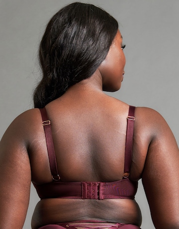 Scantilly Laced Up Plunge Bra