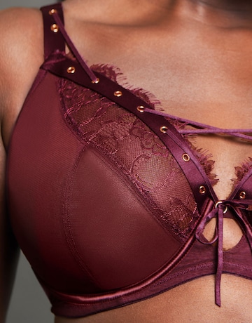 Scantilly Laced Up Plunge Bra