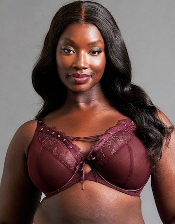 Scantilly Laced Up Plunge Bra