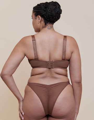 Curvy Kate Cool Cat Tanga
