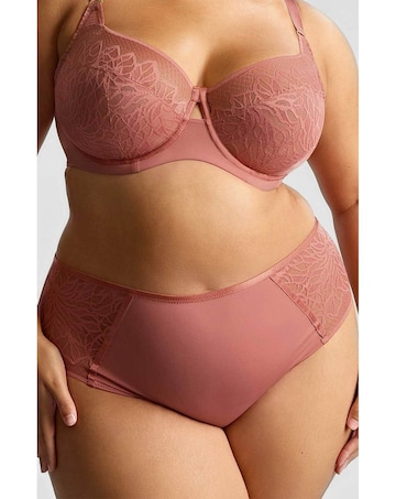 Sculptresse Sophia Sienna Rose Deep Brief