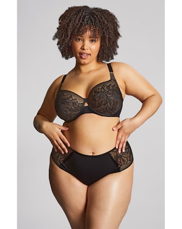 Sculptresse Sophia Black Deep Brief