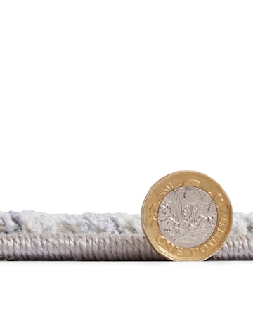 Think Rugs Vintage Traditional Rug