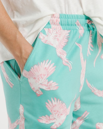 JD Williams (2 Pack) Cotton Pyjama Sets