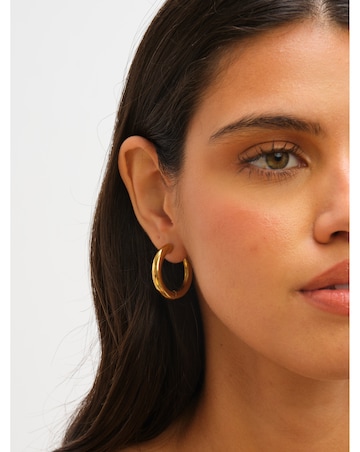 Jon Richard Gold Plated Stainless Steel Large Chubby Hoop Earrings