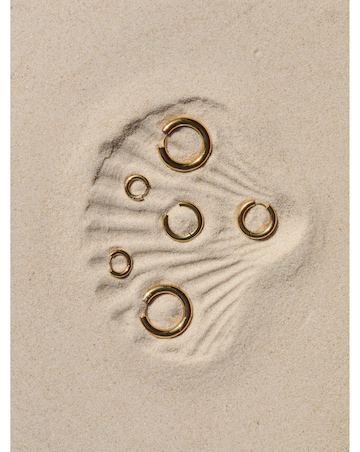 Jon Richard Gold Plated Stainless Steel Large Chubby Hoop Earrings