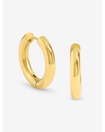 Jon Richard Gold Plated Stainless Steel Medium Chubby Hoop Earrings