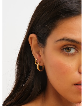 Jon Richard Gold Plated Stainless Steel Medium Chubby Hoop Earrings