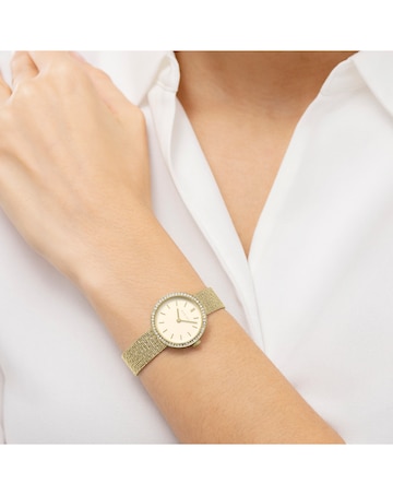 Radley Gold Plated 27mm Stone Set Mesh Watch