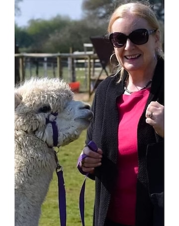 Alpaca Walk and Meet the Animals For Two at Lucky Tails Alpaca Farm E - Voucher