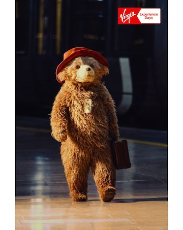 Paddington the Musical Theatre Tickets for Two E - Voucher