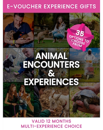 Activity Superstore Animal Encounters & Experiences