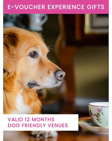 Activity Superstore Dog Friendly Afternoon Tea for Two