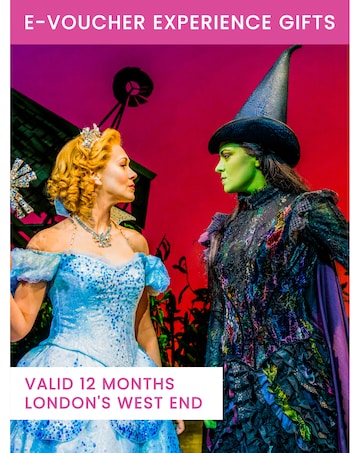 Activity Superstore Tickets to Wicked and a Meal for Two