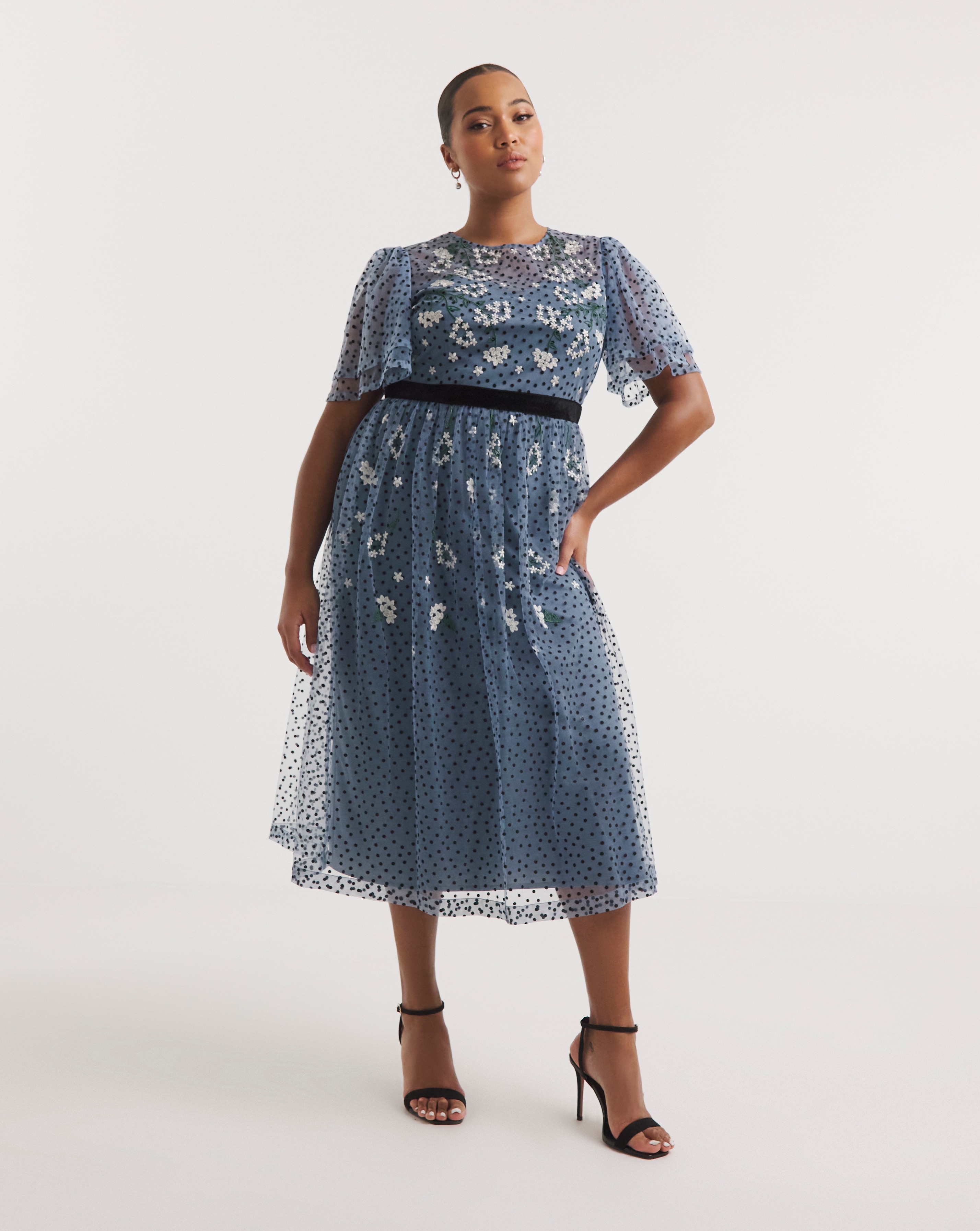 Joanna Hope Mesh Spot Midi Dress