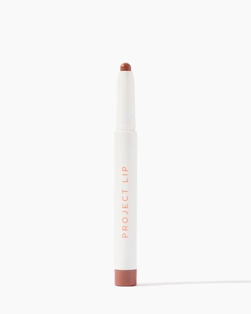 Project Lip Plump and Fill Lip Liner Nudie
