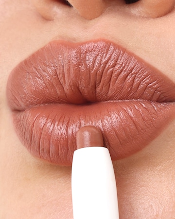 Project Lip Plump and Fill Lip Liner Nudie