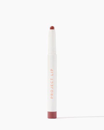 Project Lip Plump and Fill Lip Liner Wild
