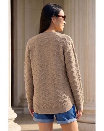 Roman Shimmer Curved Hem Jumper