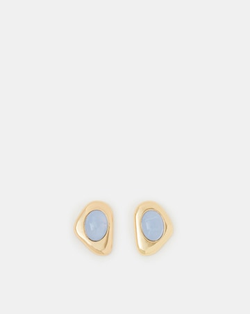 Accessorize Statement Stud Earrings
