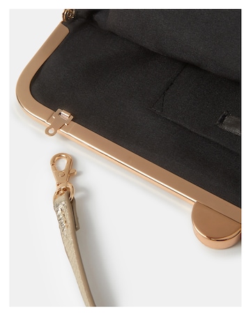 Accessorize Clip Frame Clutch Bag