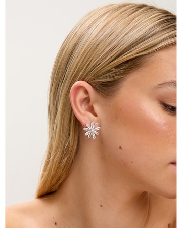 Jon Richard Rhodium Plated Cubic Zirconia Flower Stud Earrings