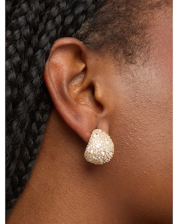 Jon Richard Gold Plated Crystal Large Dome Earrings