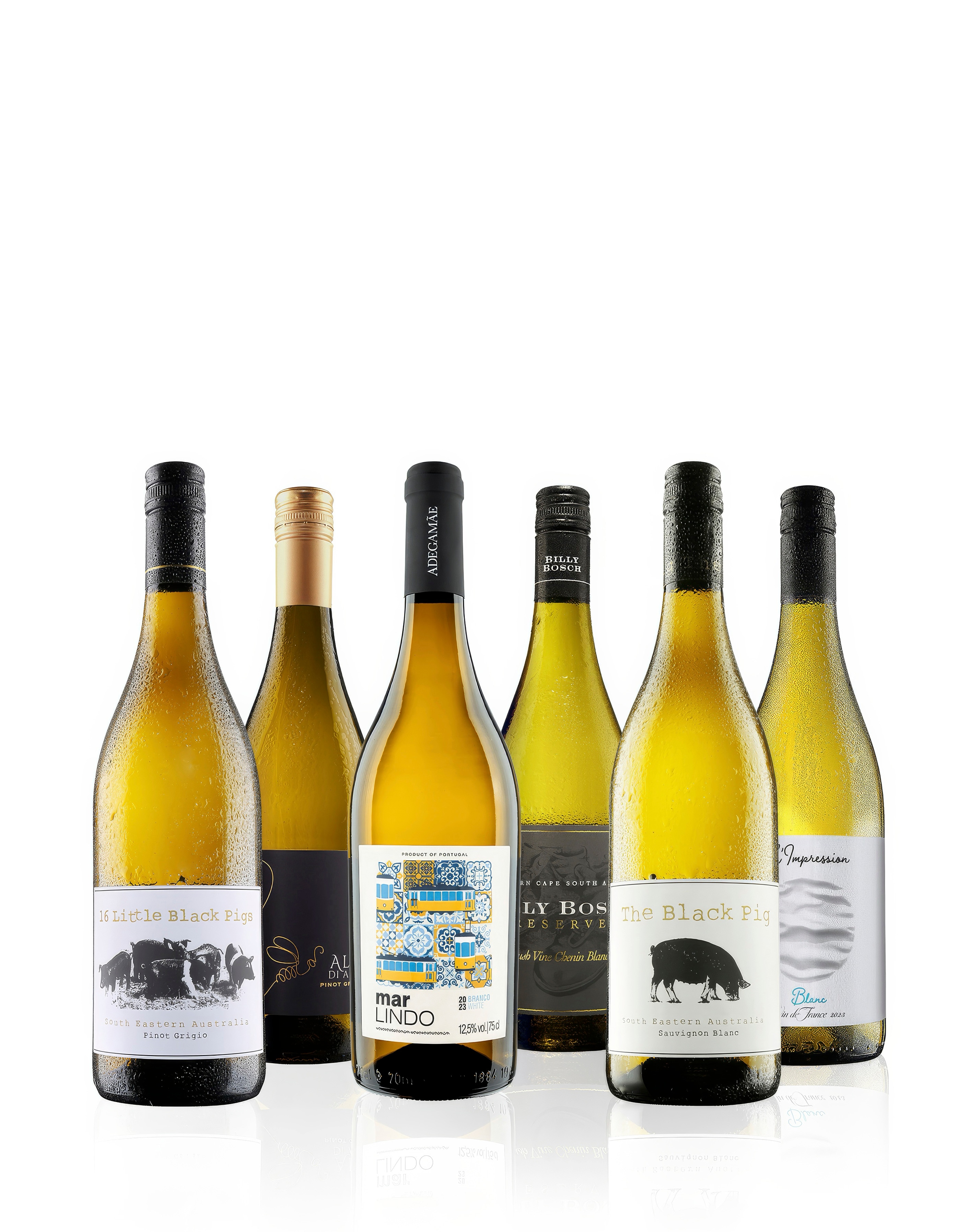 Must Have 6 Bottle White Case