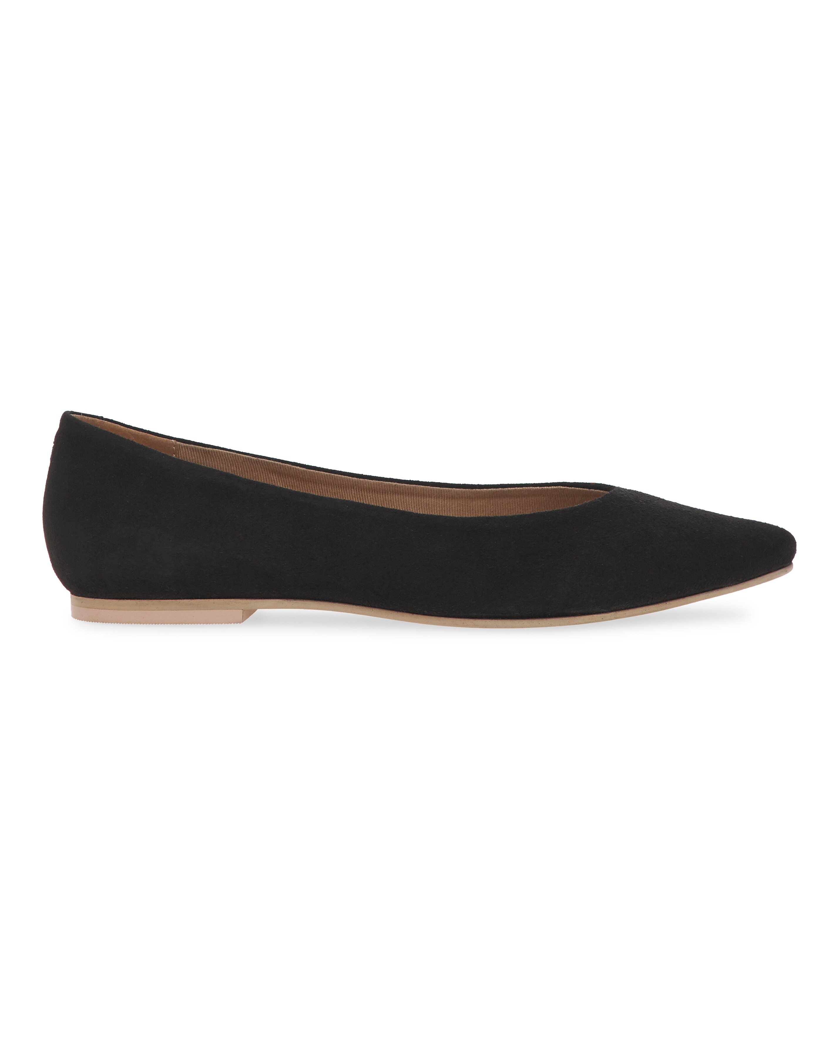 Ballet shoes hotsell pointed toe