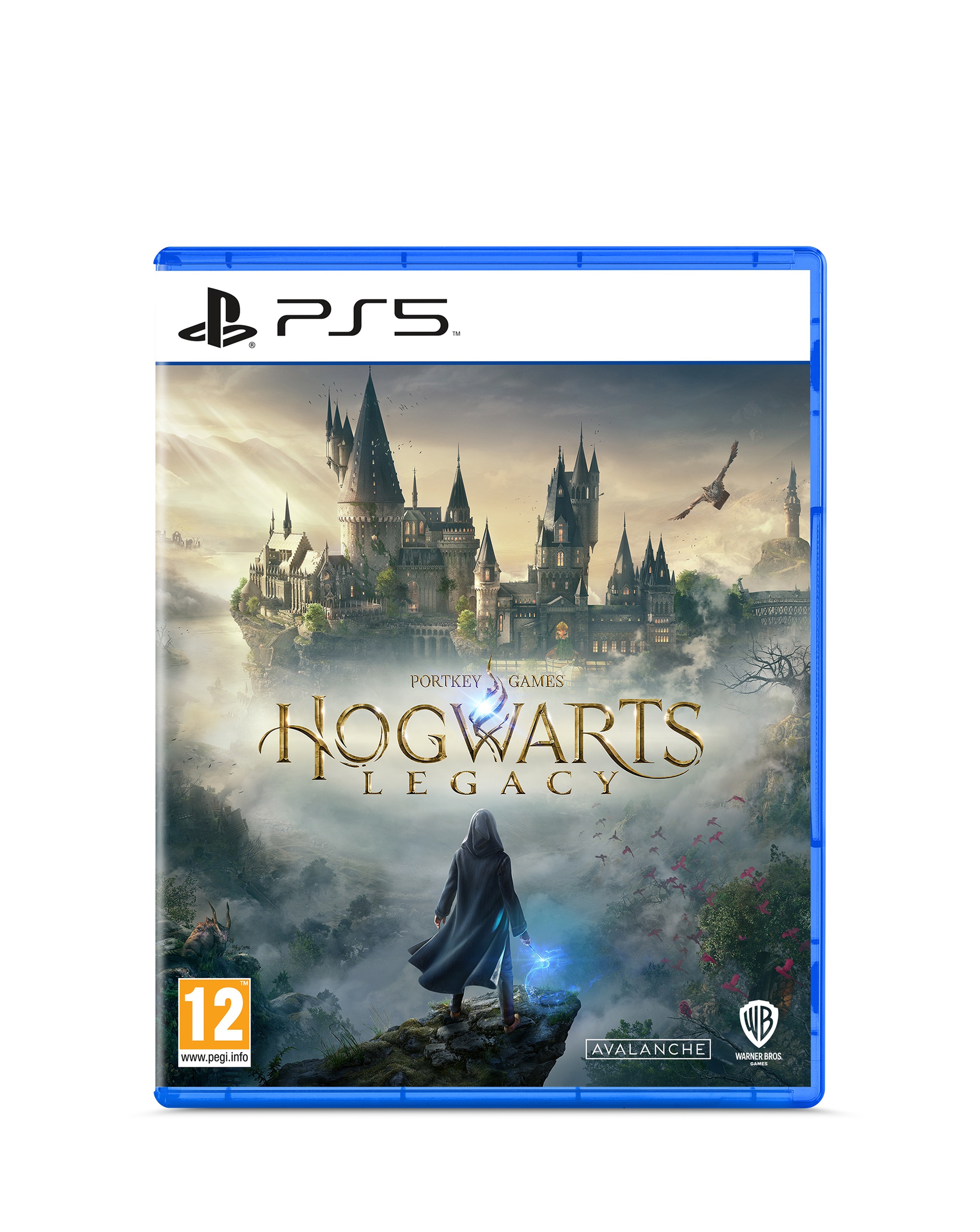 New In - Hogwarts Legacy: Standard Edition (Ps5)