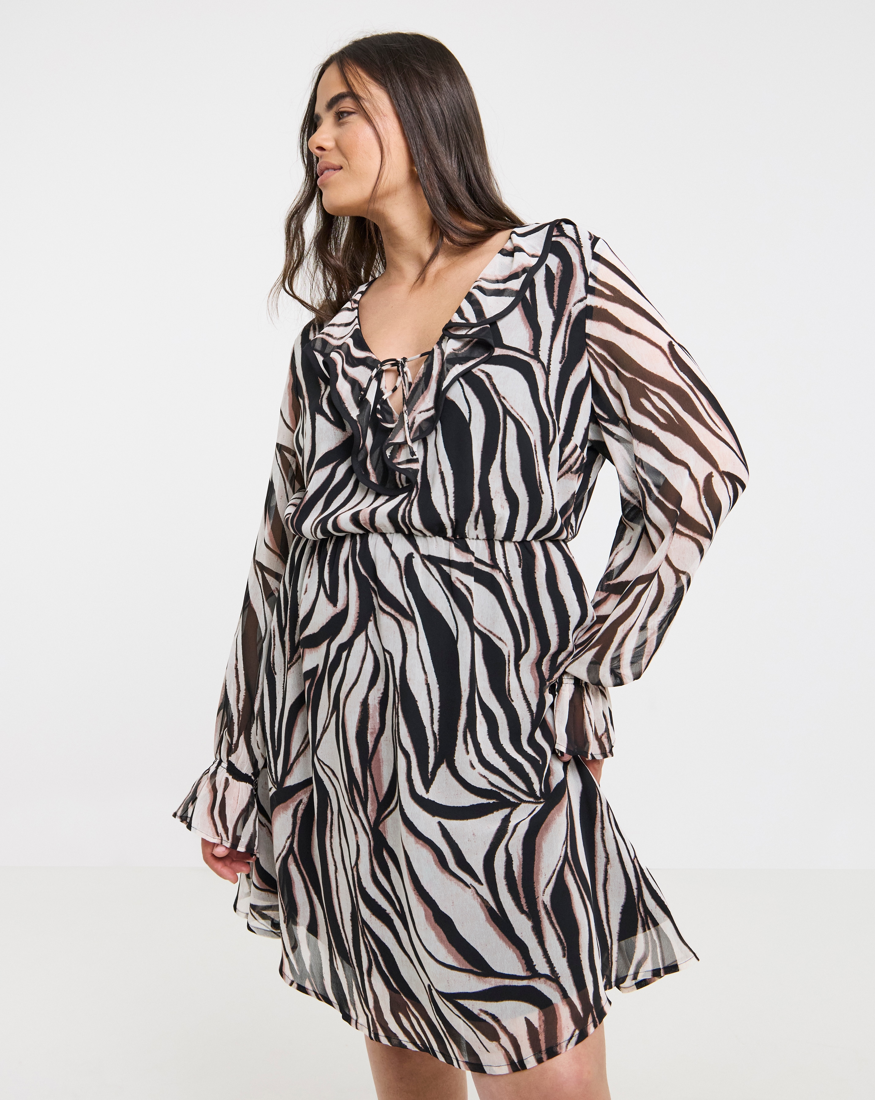 Zebra Print Georgette Frill Skater Dress