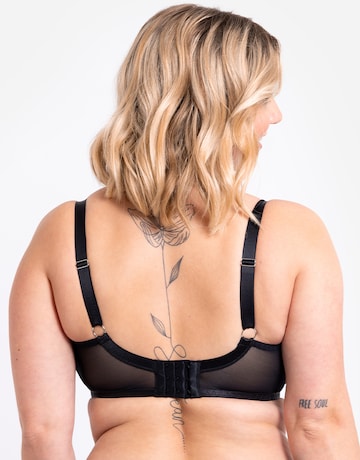 Curvy Kate Daze Padded T Shirt Balcony Bra Black