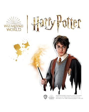 SES Harry Potter Shrink Charms
