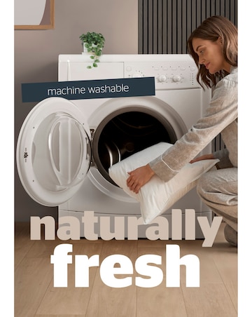 Silentnight Naturals Collection Duck Feather 2 Pack Pillow