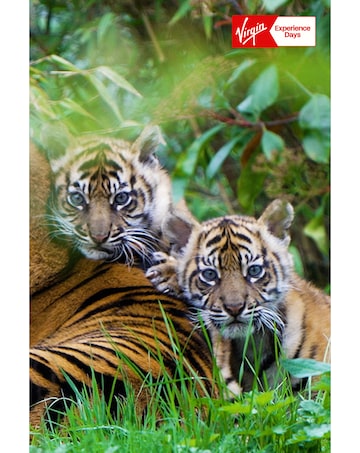 Visit to Chester Zoo for Two Adults E - Voucher