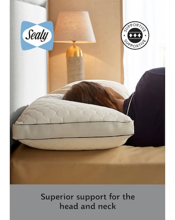 Sealy Side Sleeper Pillow