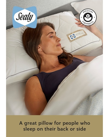 Sealy Airflow Memory Foam Pillow