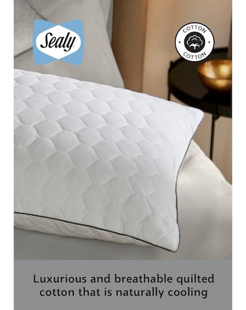 Sealy Deeply Full Pack of 2 Pillows